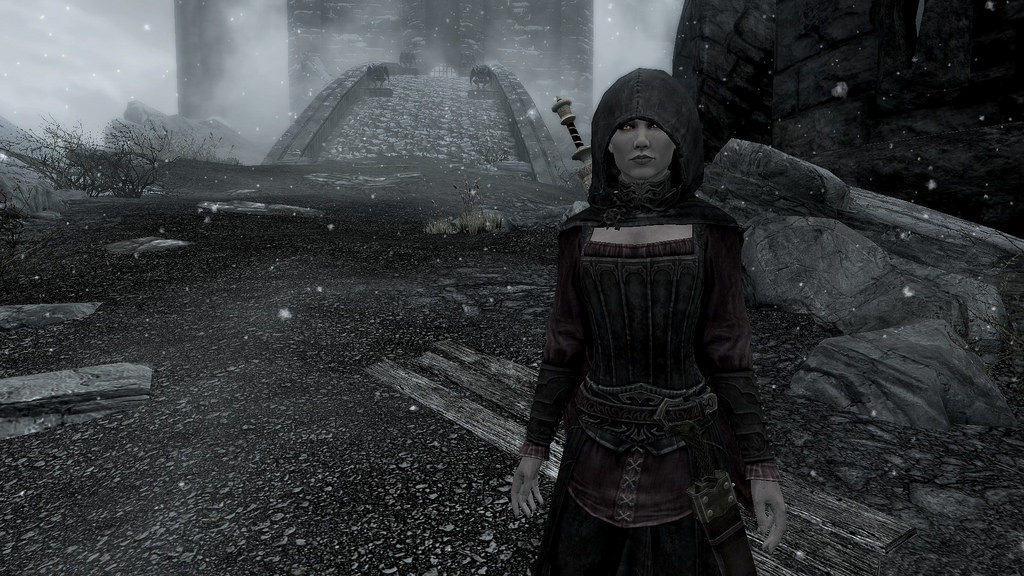 Skyrim Followers Guide Who Is The Best Follower In Skyrim