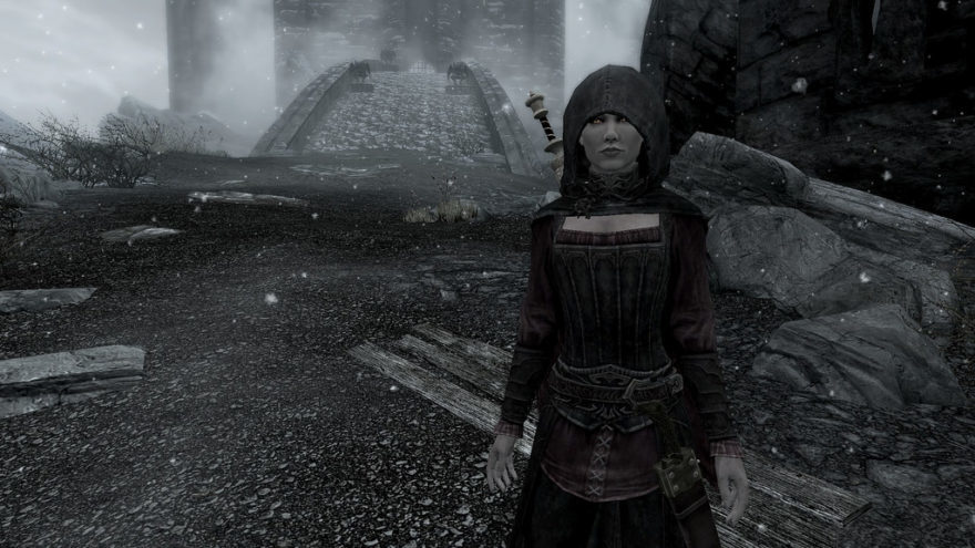 Skyrim Followers Guide – Who Is the Best Follower in Skyrim?