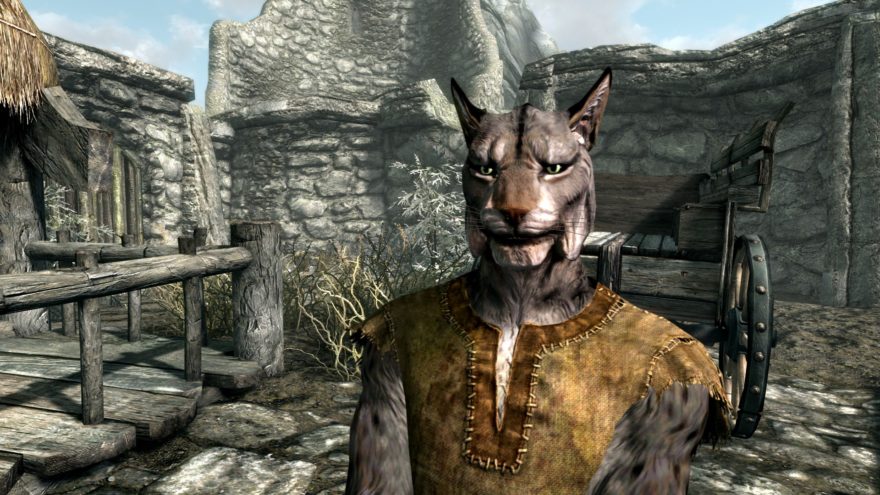 What is the Best Race in Skyrim? Skyrim Races Guide