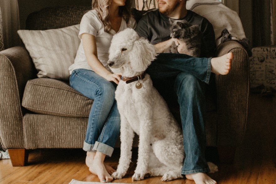Couple on Sofa with Pets