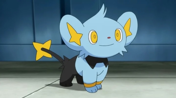 Shinx