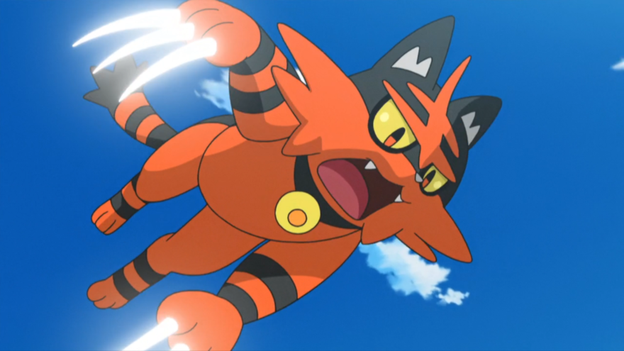 Torracat