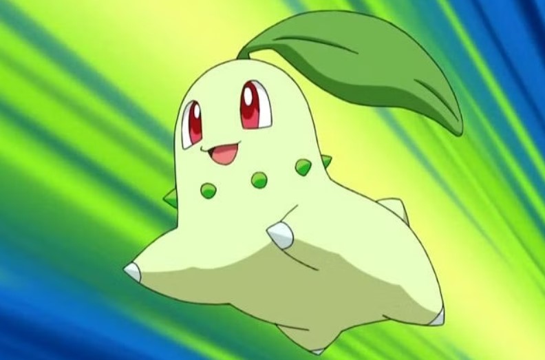 Chikorita