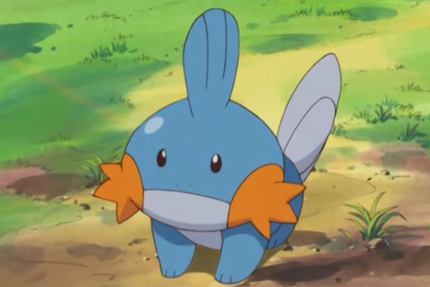 Mudkip