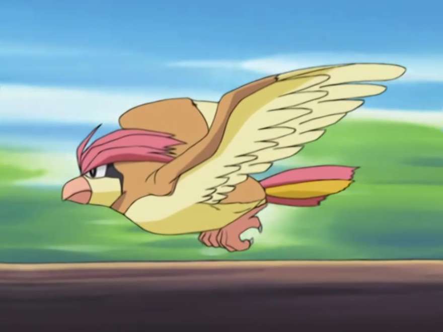 Pidgeotto