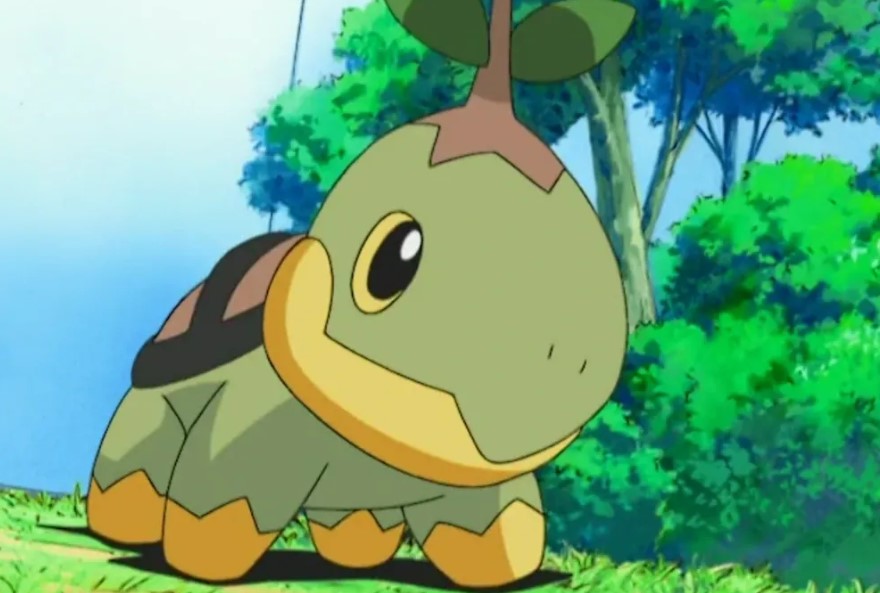 Turtwig