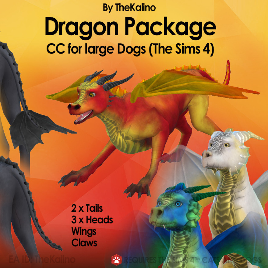 Dogs To Dragons Package