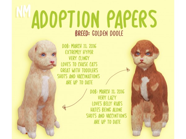 Adoption Papers