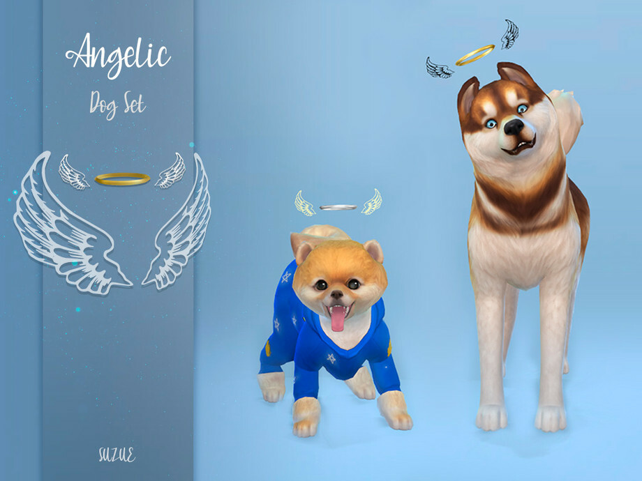 Angelic Set For Dogs