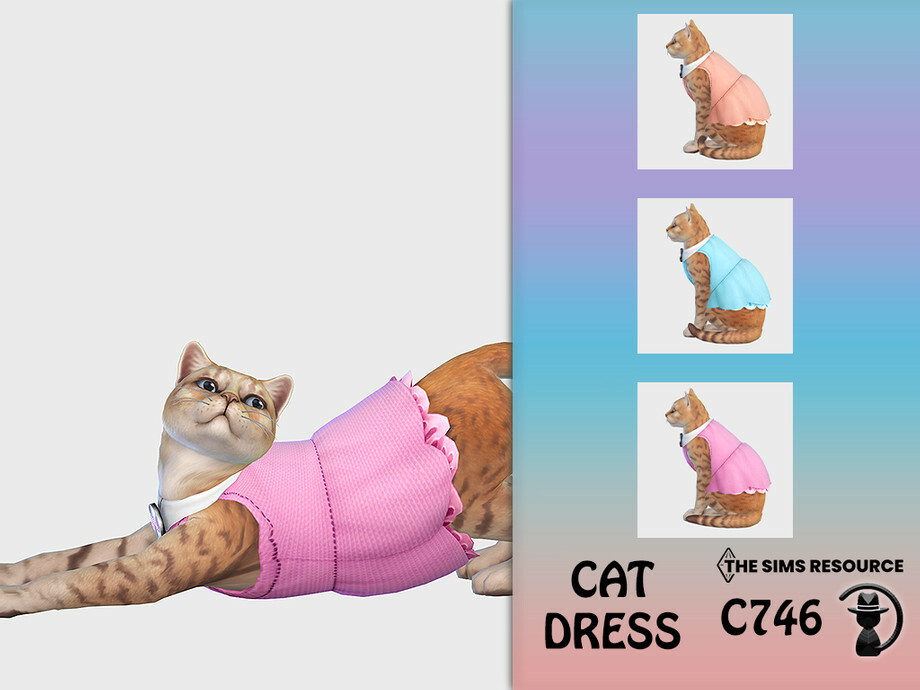 Cat Dress