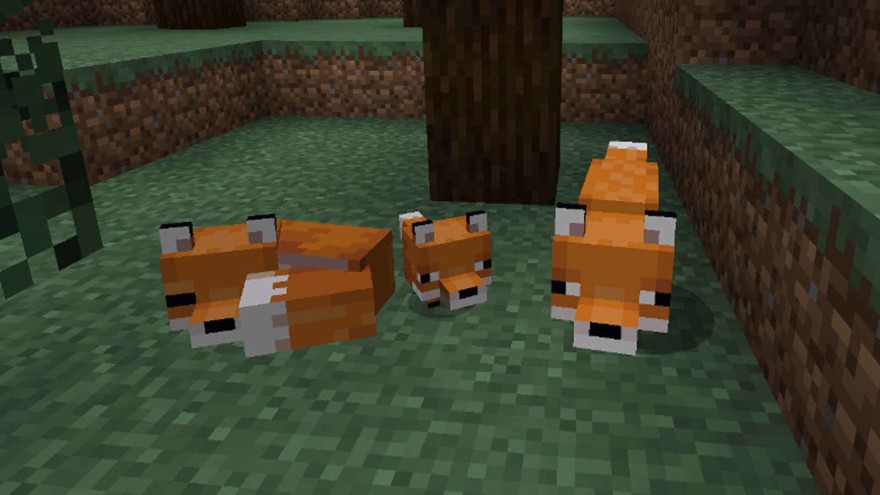 Foxes In Minecraft