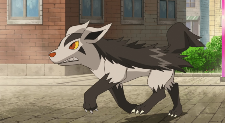 Mightyena