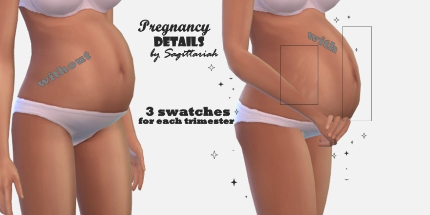 Pregnancy Details Mod
