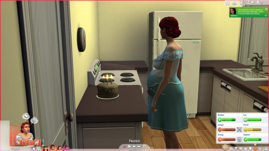 Pregnant Aging & Death Mod