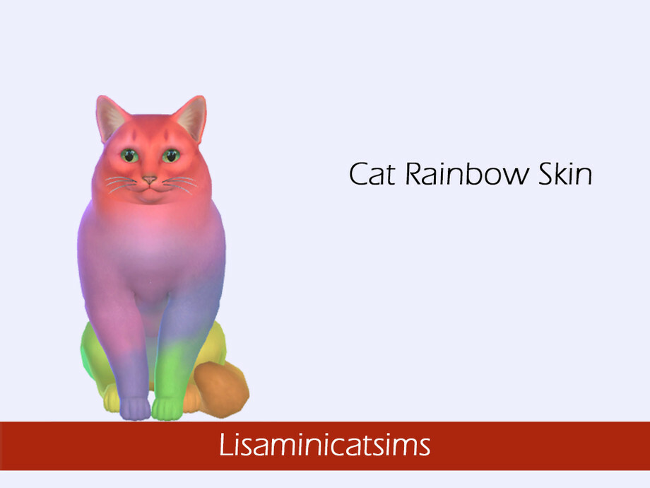 Rainbow Cat Skin