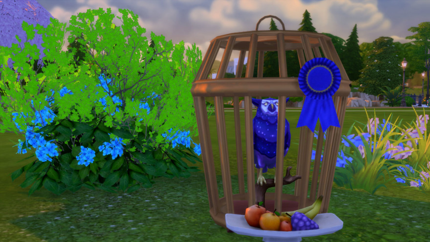 Sturdy Birdie Bird Cage