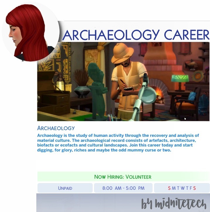 Archaeology Career