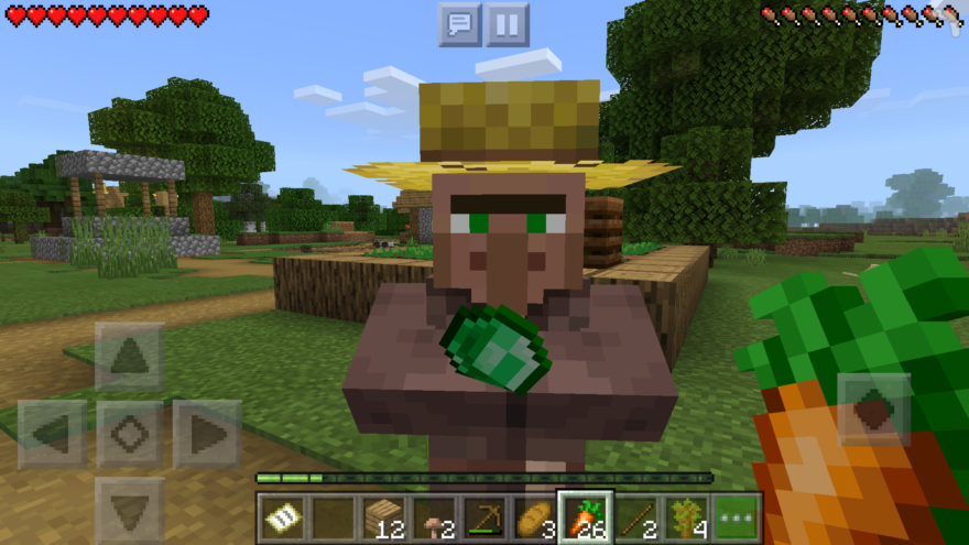 Farmer Minecraft