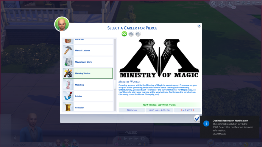 Ministry Of Magic Career