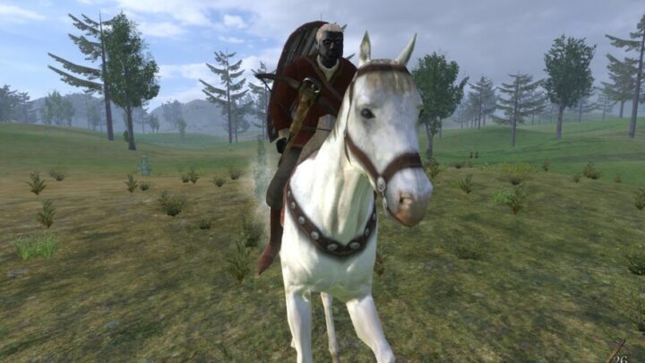 Top 25 Best Mount and Blade Warband Mods [2023]