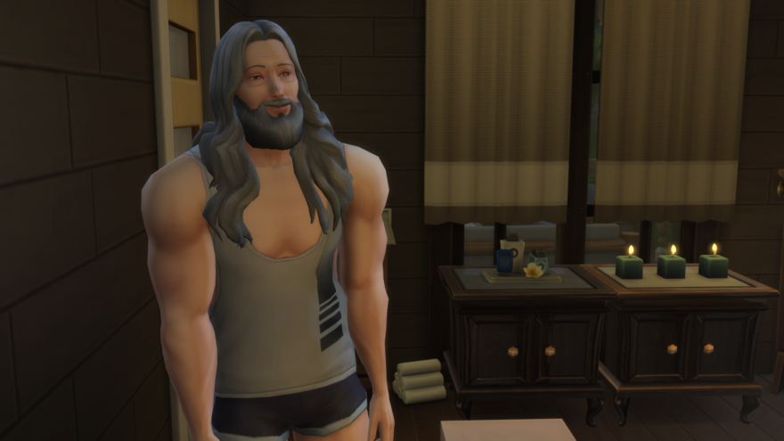 the sims 4 anatomy mod