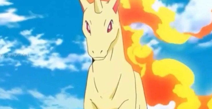 Rapidash