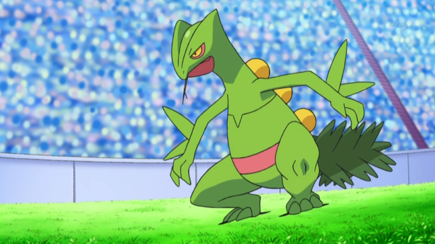 Sceptile