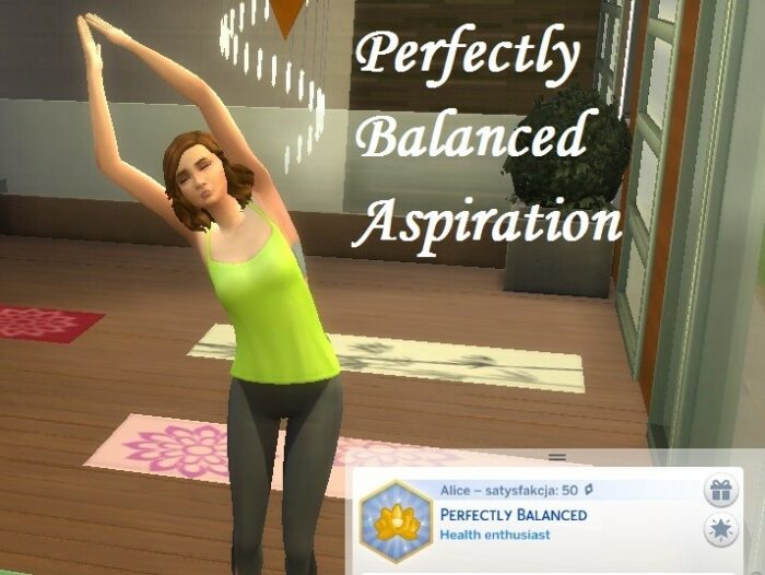 Top 20 Best Sims 4 Aspirations Mods 2024