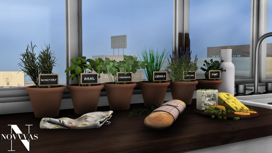 Potted Herb Garden