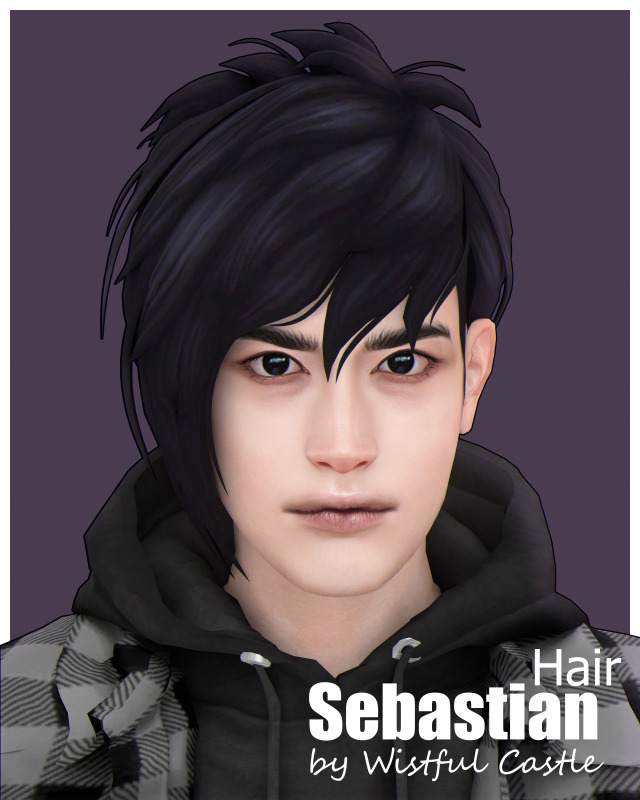 Sebastian Hair