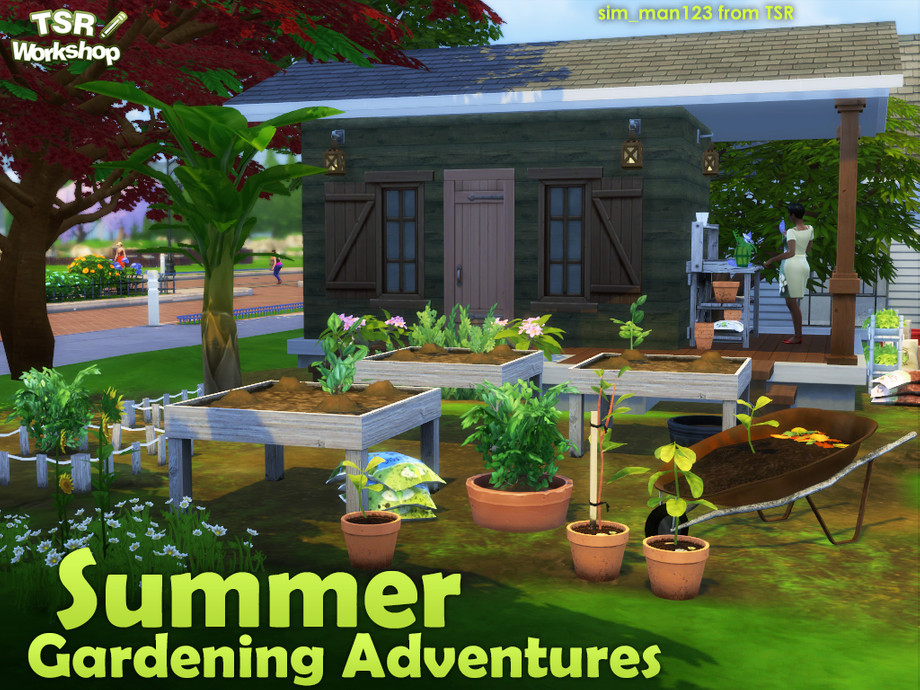 Summer Gardening Adventures