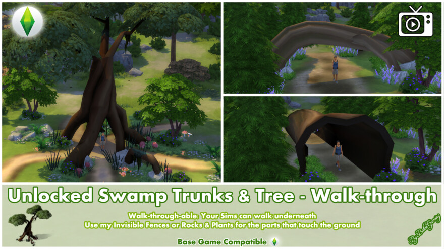 Swamp Trunks And Trees