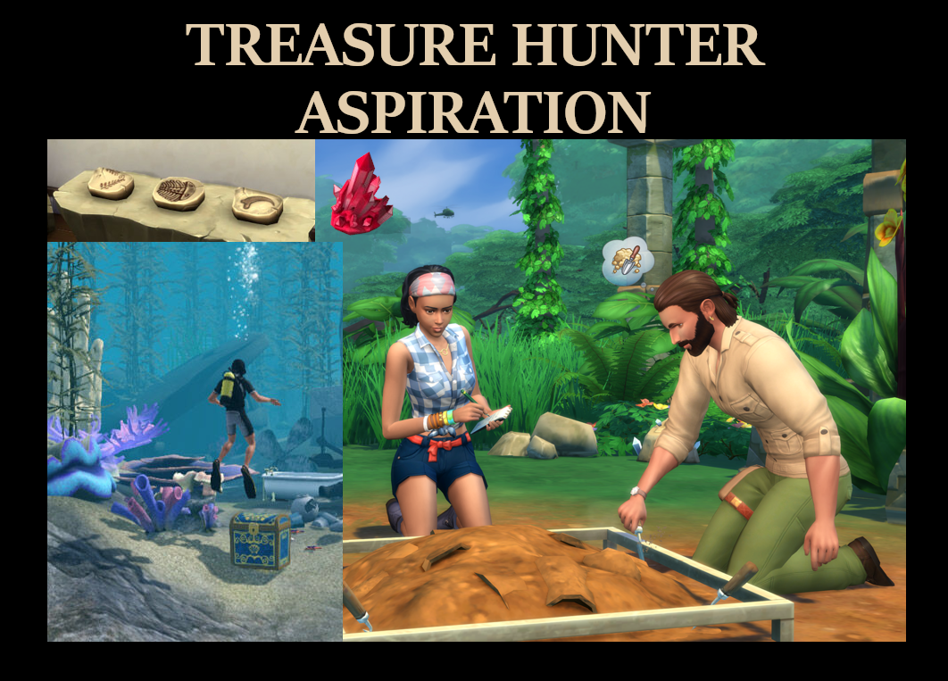 Treasure Hunter Aspiration