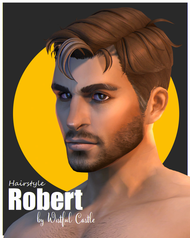 Robert Hairstyle