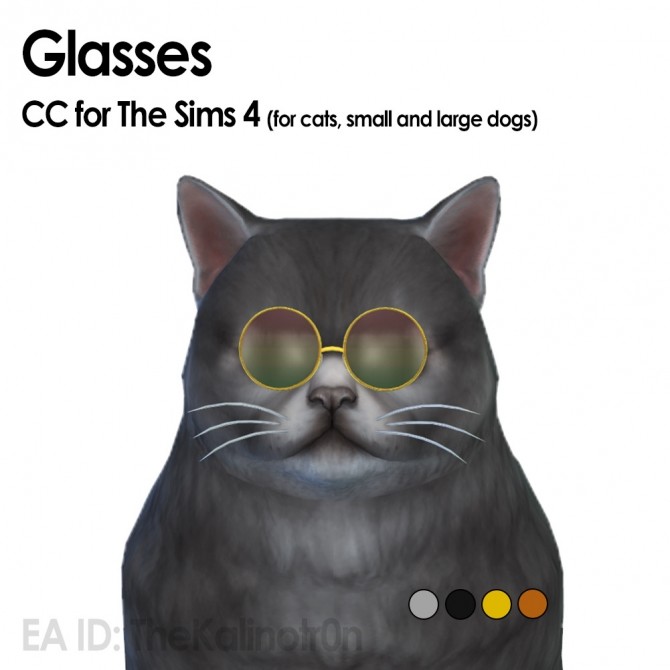 Glasses For Pets