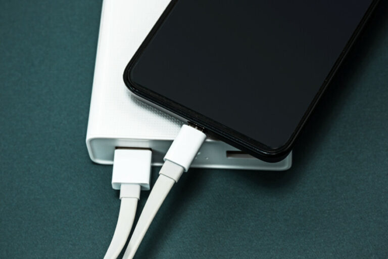 Top 10 Best Portable Chargers [2024]