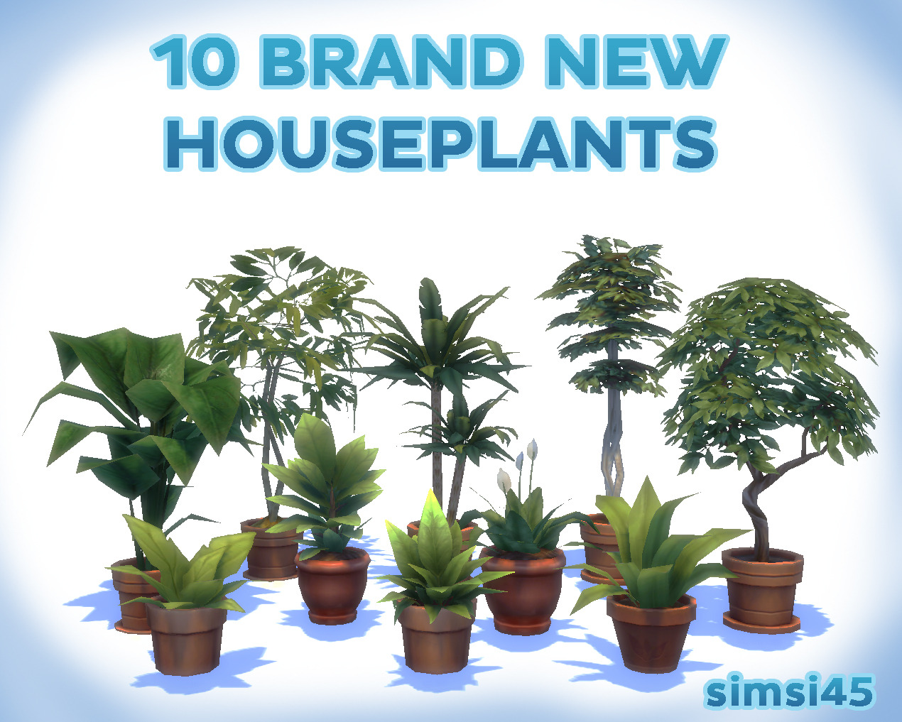 10 Brand New Houseplants
