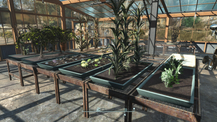 Clean Settlement Greenhouse