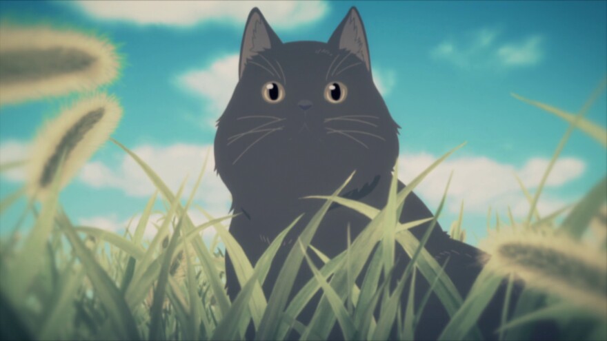 Top 25 Best Anime Cats That Are Purrfect [2024]