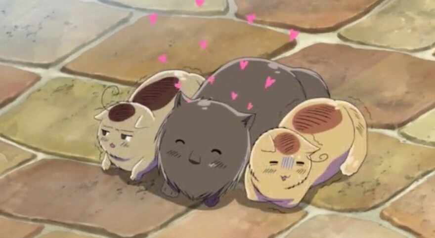 15 Best Anime Cats in 2023 Ranked  Beebom