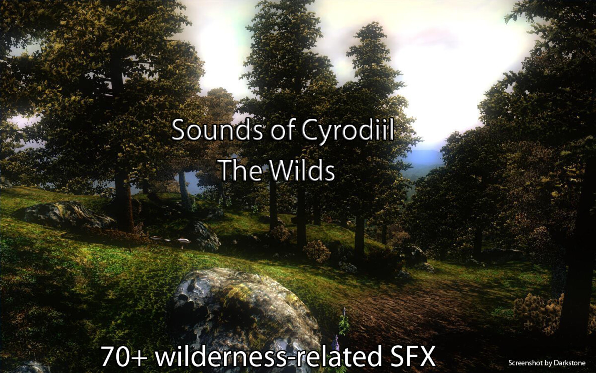 Sounds Of Cyrodiil
