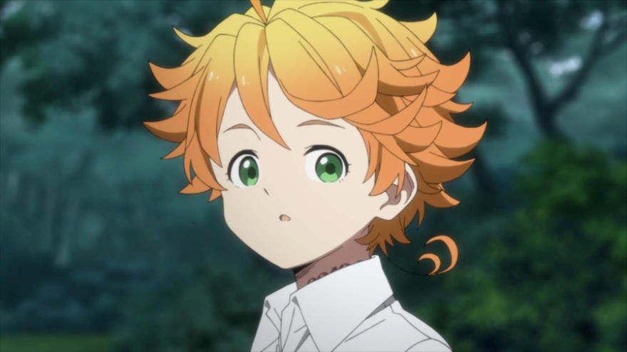 The Promised Neverland