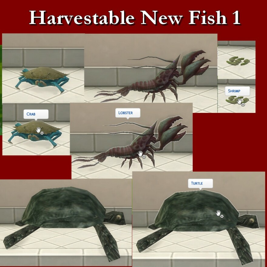 Harvestable New Fish 1