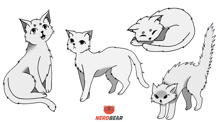 How To Draw Anime Cat