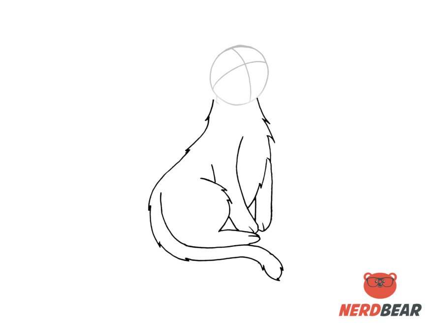 How To Draw A Sitting Anime Cat 6