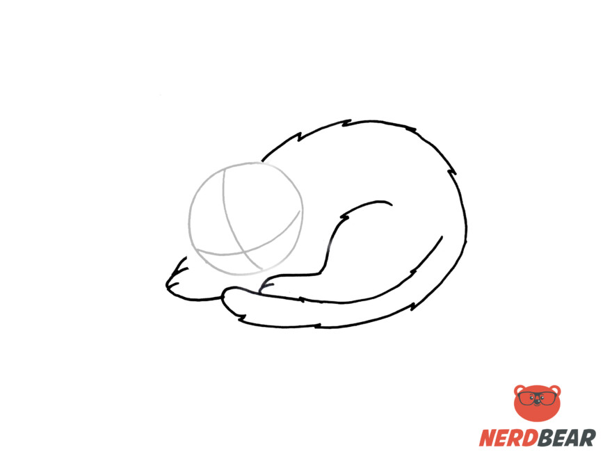 How To Draw A Sleeping Anime Cat 5