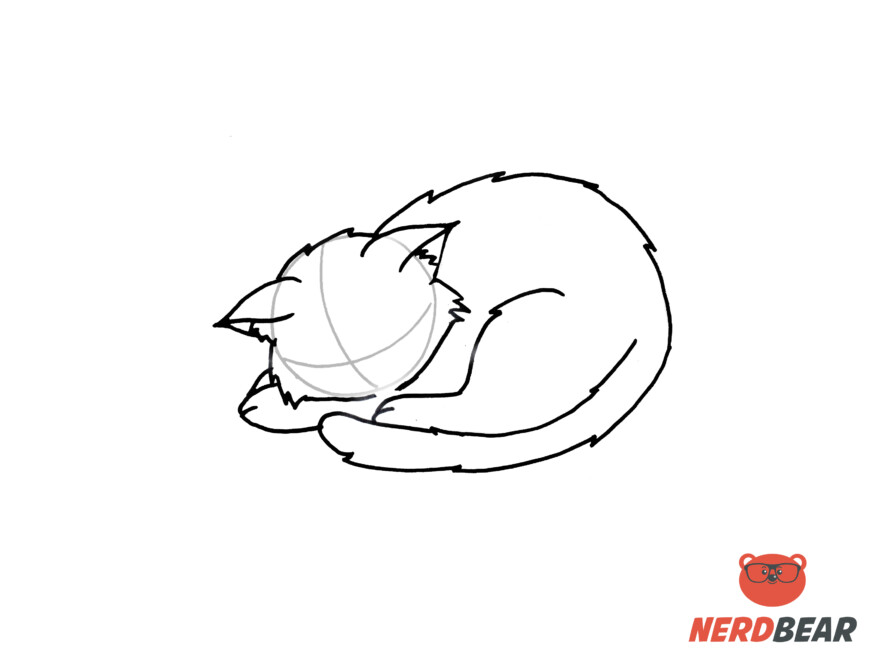 How To Draw A Sleeping Anime Cat 7
