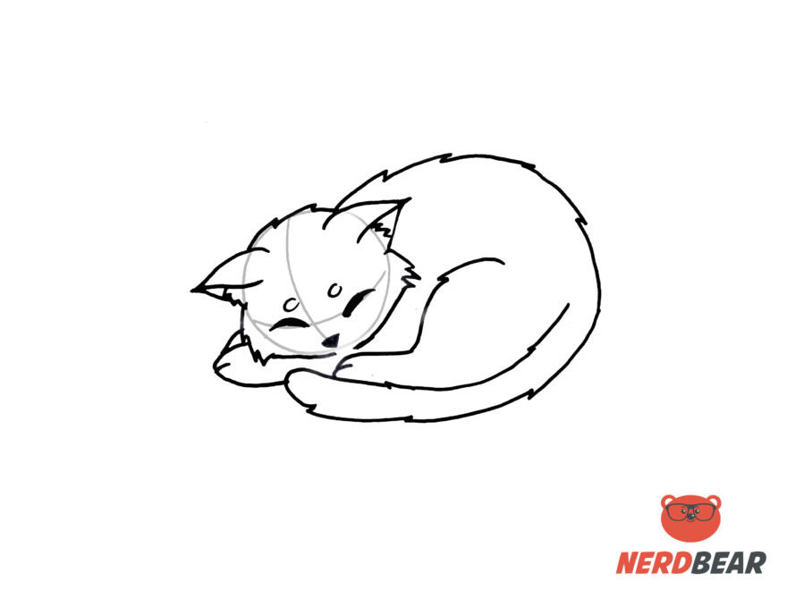 How To Draw A Sleeping Anime Cat 8