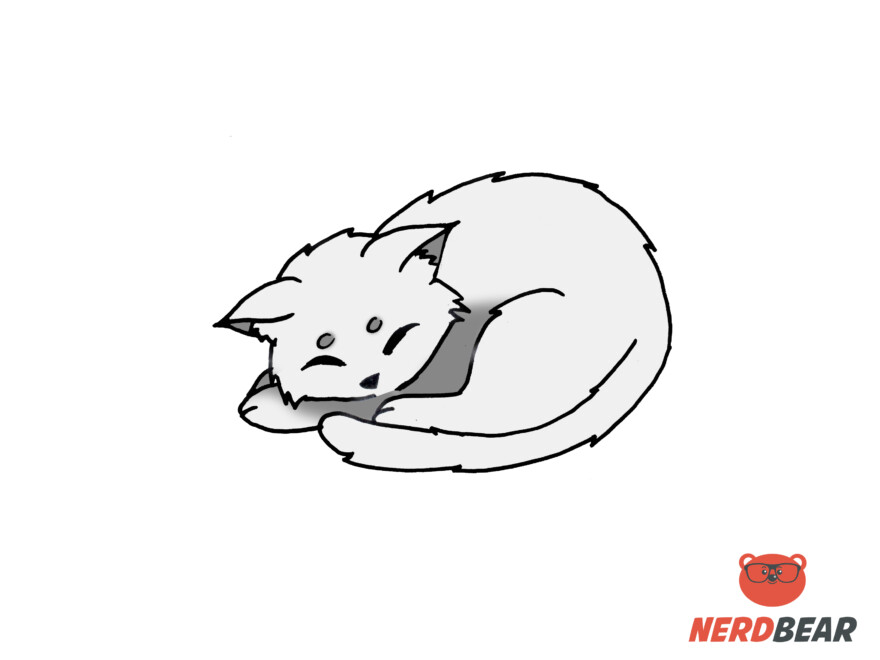 How To Draw A Sleeping Anime Cat 9