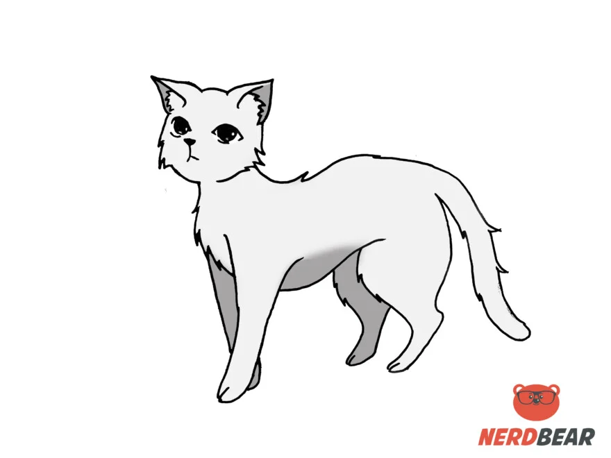 How to draw an anime cat  Step by step Drawing tutorials